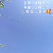 ヒメ日記 2026/07/30 11:23 投稿 カランコエ 飾窓