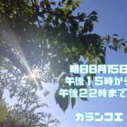 ヒメ日記 2026/08/14 12:32 投稿 カランコエ 飾窓