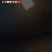 ヒメ日記 2026/08/16 16:44 投稿 カランコエ 飾窓