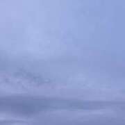 ヒメ日記 2026/08/16 19:47 投稿 カランコエ 飾窓
