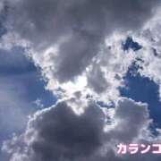 ヒメ日記 2026/08/18 13:27 投稿 カランコエ 飾窓