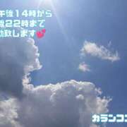 ヒメ日記 2026/08/19 12:08 投稿 カランコエ 飾窓