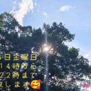 ヒメ日記 2026/09/02 21:11 投稿 カランコエ 飾窓