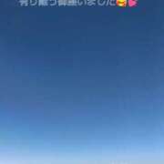 ヒメ日記 2026/09/05 17:54 投稿 カランコエ 飾窓