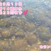 ヒメ日記 2026/09/12 11:35 投稿 カランコエ 飾窓