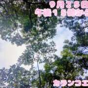 ヒメ日記 2026/09/23 14:41 投稿 カランコエ 飾窓