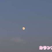 ヒメ日記 2026/09/24 23:43 投稿 カランコエ 飾窓