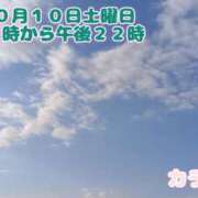 ヒメ日記 2026/10/09 08:27 投稿 カランコエ 飾窓