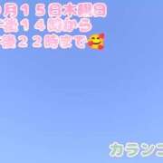 ヒメ日記 2026/10/13 17:15 投稿 カランコエ 飾窓