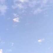 ヒメ日記 2026/10/14 16:52 投稿 カランコエ 飾窓