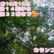 ヒメ日記 2026/10/15 10:10 投稿 カランコエ 飾窓