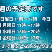 ヒメ日記 2026/08/09 12:15 投稿 すみれ あけみ