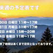 すみれ 来週の出勤予定です💕 あけみ