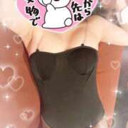 ヒメ日記 2026/04/20 16:20 投稿 りく ドMなバニーちゃん 柴田店