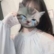 ヒメ日記 2026/04/28 15:54 投稿 れん☆4/16 12時～体験予☆ Honey