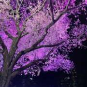 ヒメ日記 2026/05/12 23:54 投稿 なるみ 金瓶梅(きんぺいぱい)(雄琴)