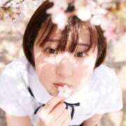 ヒメ日記 2026/04/08 15:12 投稿 桜野（さくらの） 丸妻 錦糸町店