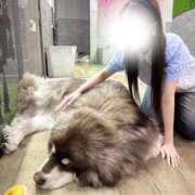 ヒメ日記 2026/08/12 21:15 投稿 あいり BIKINISPA「真」-ビキニスパ-