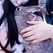 ヒメ日記 2026/04/08 19:56 投稿 まい Lolipop（ロリポップ）