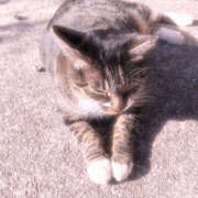 ヒメ日記 2026/04/09 16:58 投稿 あまね 熟女の風俗最終章 宇都宮店