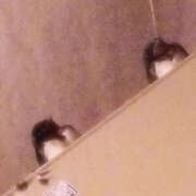 ヒメ日記 2026/04/13 20:11 投稿 あまね 熟女の風俗最終章 宇都宮店