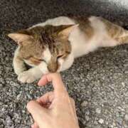 ヒメ日記 2026/04/29 09:16 投稿 あまね 熟女の風俗最終章 宇都宮店