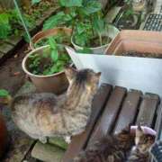 ヒメ日記 2026/04/30 08:31 投稿 あまね 熟女の風俗最終章 宇都宮店