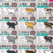ヒメ日記 2026/05/13 13:51 投稿 あまね 熟女の風俗最終章 宇都宮店