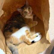 ヒメ日記 2026/04/13 09:37 投稿 咲良 Versailles