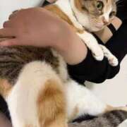 ヒメ日記 2026/04/15 00:31 投稿 咲良 Versailles