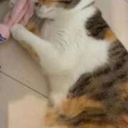 ヒメ日記 2026/04/15 05:51 投稿 咲良 Versailles