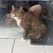 ヒメ日記 2026/04/15 10:41 投稿 咲良 Versailles