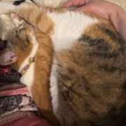 ヒメ日記 2026/04/15 12:51 投稿 咲良 Versailles