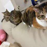 咲良 ソファに♡ Versailles