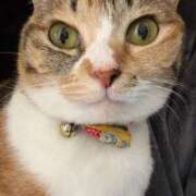 咲良 見てるよ♡ Versailles