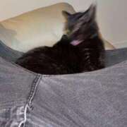 ヒメ日記 2026/04/21 15:01 投稿 咲良 Versailles