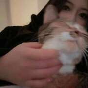 ヒメ日記 2026/04/26 01:41 投稿 咲良 Versailles