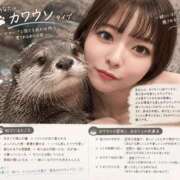ヒメ日記 2026/09/13 22:21 投稿 咲良 Versailles