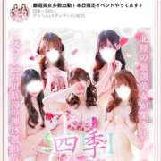 ヒメ日記 2026/04/14 13:33 投稿 白咲ましろ 四季～SIKI～