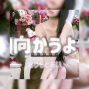 ヒメ日記 2026/05/03 10:00 投稿 織本　あい YOKOHAMA FIVESTAR（横浜ファイブスター）