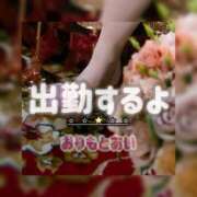 ヒメ日記 2026/05/07 06:00 投稿 織本　あい YOKOHAMA FIVESTAR（横浜ファイブスター）