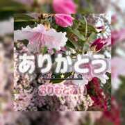 ヒメ日記 2026/05/17 17:55 投稿 織本　あい YOKOHAMA FIVESTAR（横浜ファイブスター）