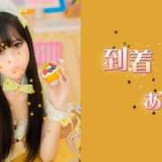 ヒメ日記 2026/06/05 11:52 投稿 織本　あい YOKOHAMA FIVESTAR（横浜ファイブスター）
