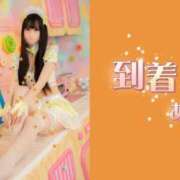 ヒメ日記 2026/06/12 11:48 投稿 織本　あい YOKOHAMA FIVESTAR（横浜ファイブスター）