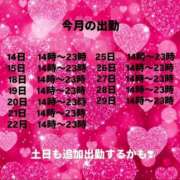 ヒメ日記 2026/05/12 22:12 投稿 みおり りんくう泉佐野ちゃんこ