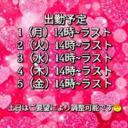 ヒメ日記 2026/05/31 16:57 投稿 みおり りんくう泉佐野ちゃんこ