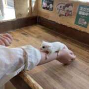 ヒメ日記 2026/06/16 21:02 投稿 みおり りんくう泉佐野ちゃんこ