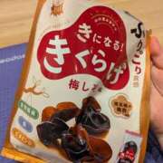 みおり コレ大好きすぎる…🍄‍🟫🍄‍🟫🍄‍🟫 りんくう泉佐野ちゃんこ