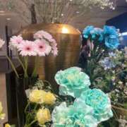 ヒメ日記 2026/04/07 20:35 投稿 ももか 完熟ばなな新宿