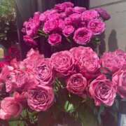 ももか おやすみ💤 完熟ばなな新宿